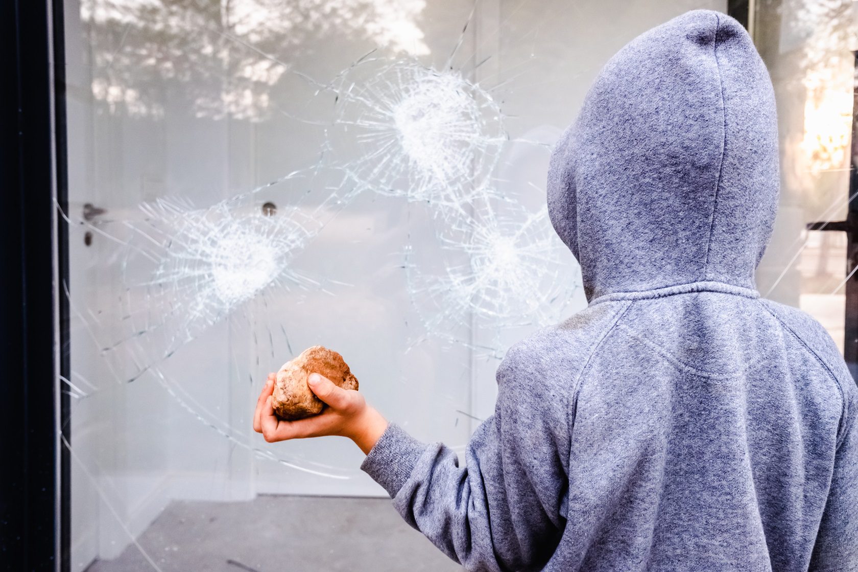 security window film portland